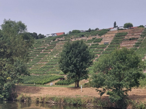 Neckar Käpt'n-斯图加特必去景点