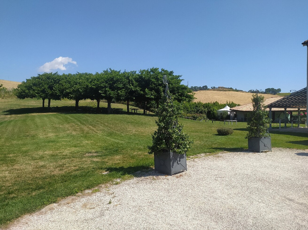 Tenuta Murola Cantina-Urbisaglia必去景点