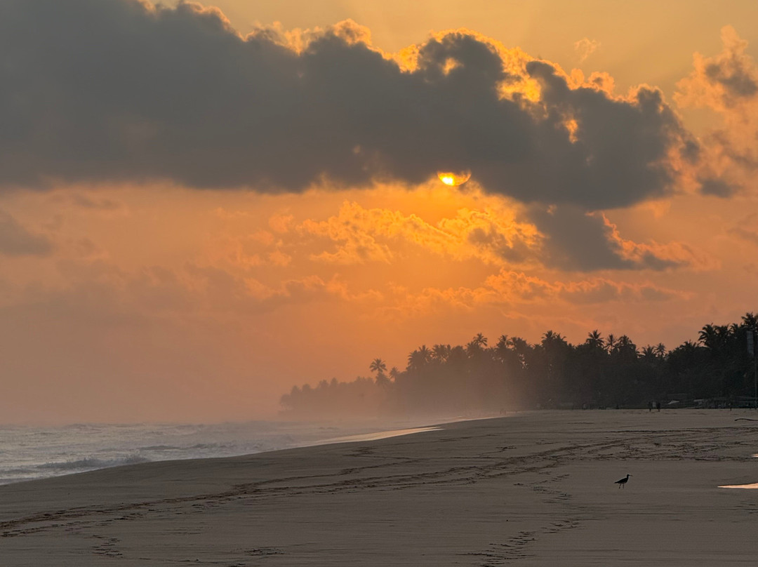 Vira Ceylon Tours & Travels-米迪加玛必去景点