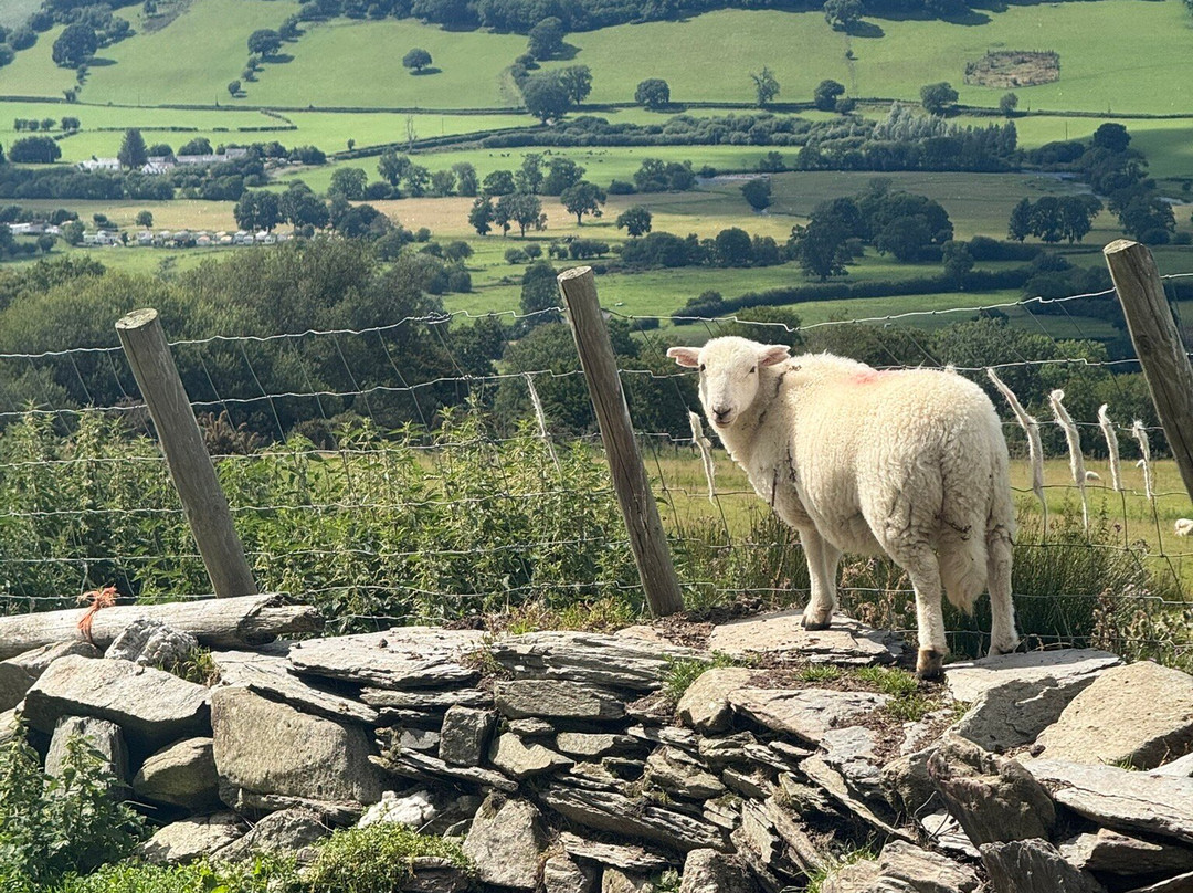 Moel Ty Uchaf-Llandrillo必去景点