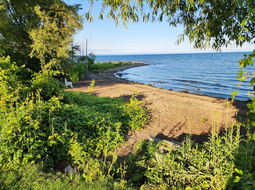 Econo Lodge On the Bay主图