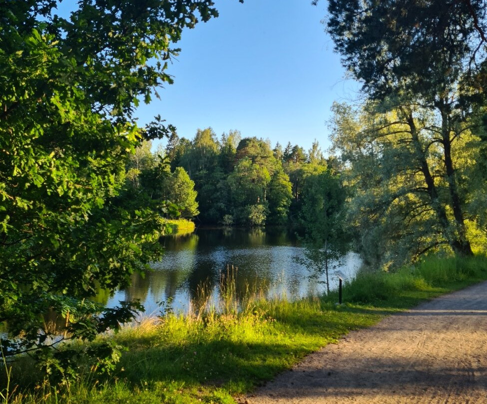 Boulognerskogen City Park-Gävle必去景点