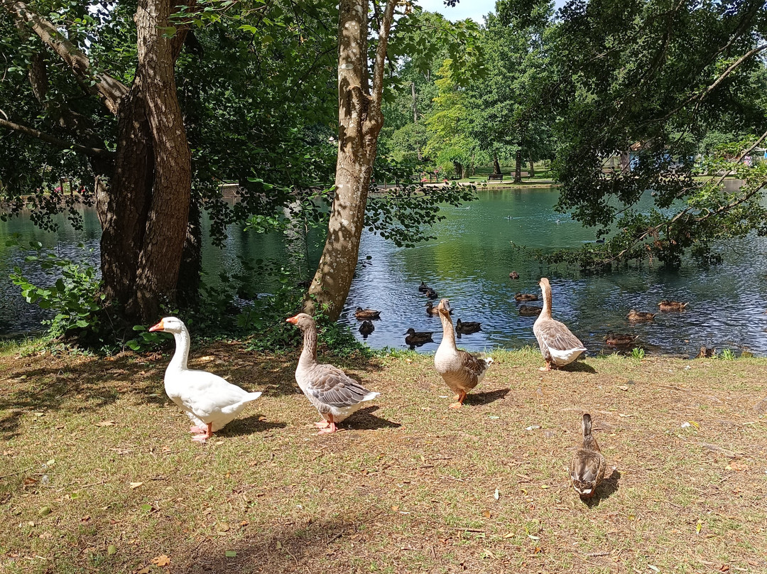 Parc de la Bouzaize-博讷必去景点