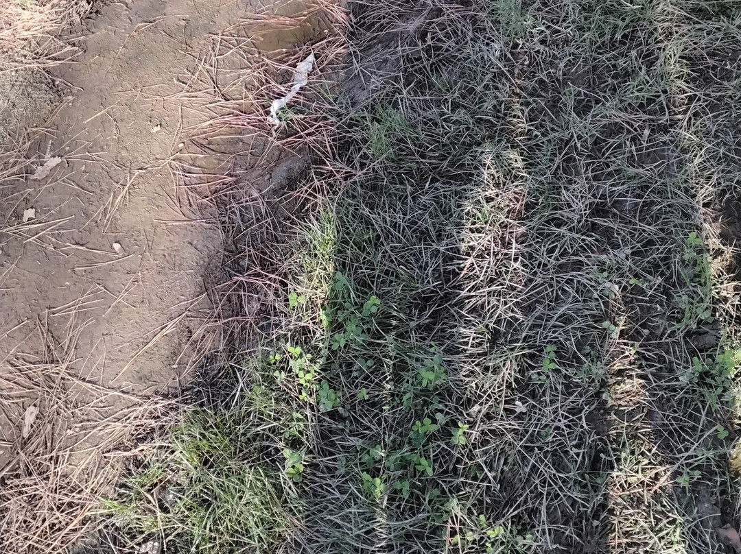 Lago Paradiso-比森齐奥营必去景点