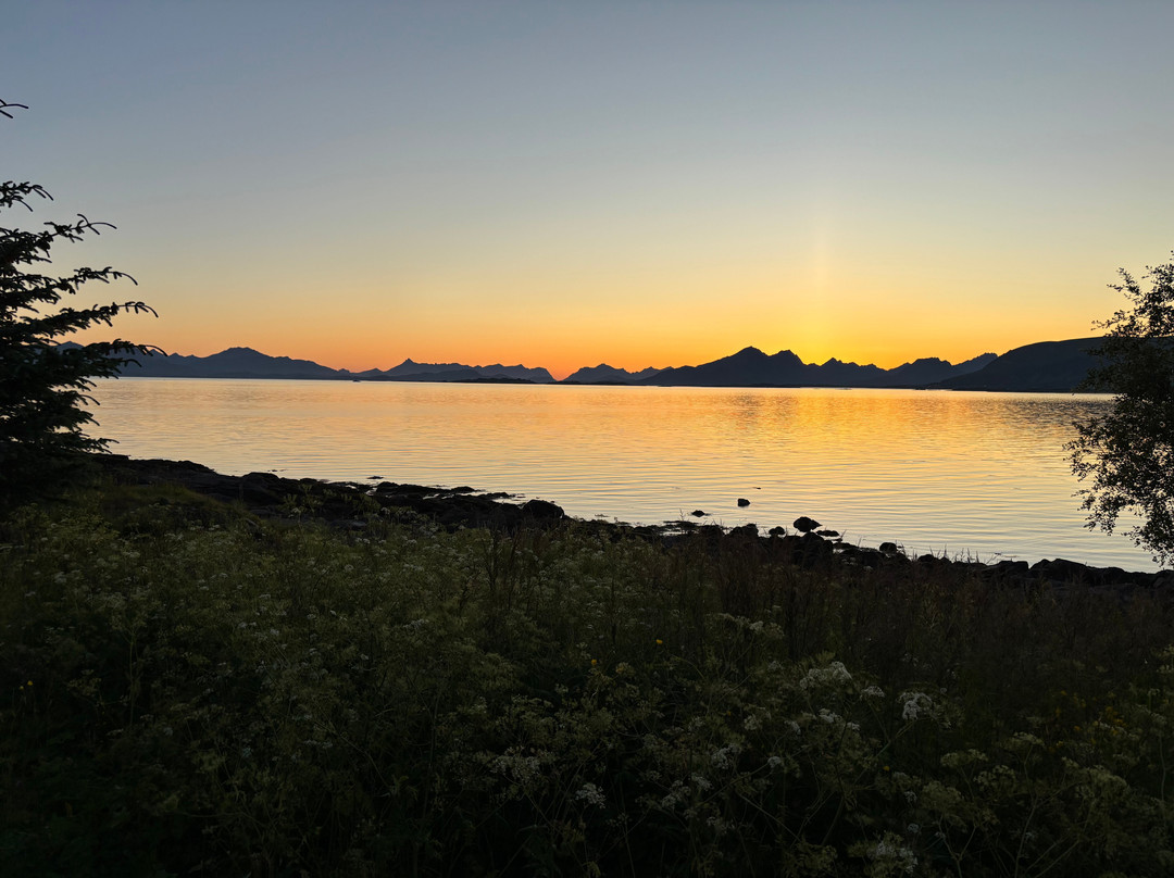 Vesterålen Tours-Sortland必去景点