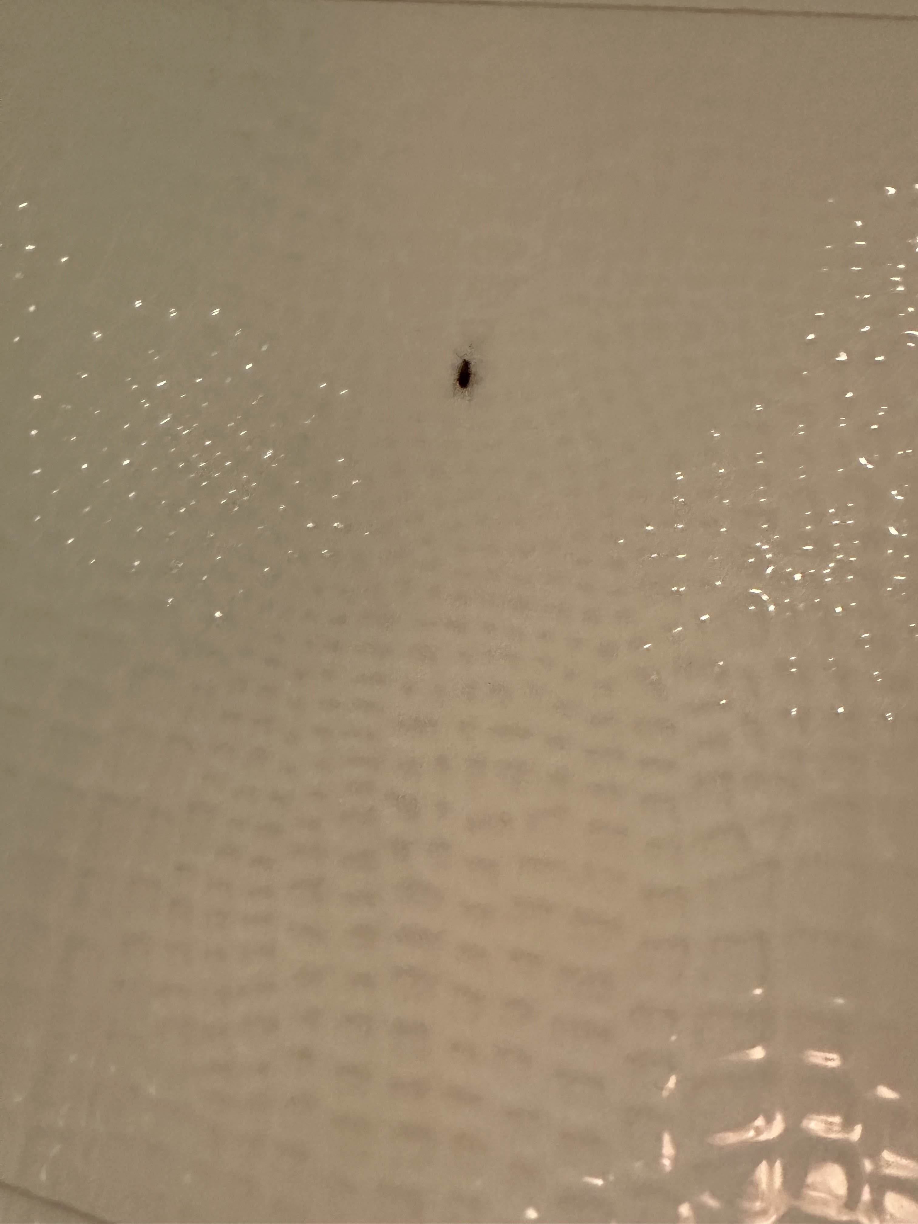 香港荃湾丝丽酒店-浴室