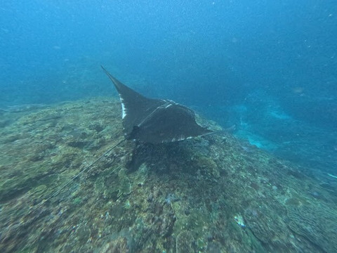 The Sakti Nusa Penida-珀尼达岛必去景点