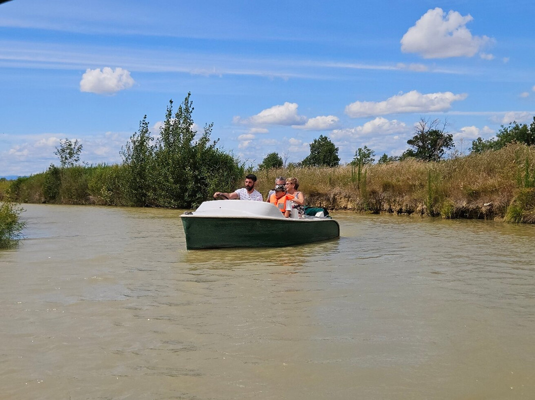 Domaine de Sainte Marthe-Narbonne-Plage必去景点
