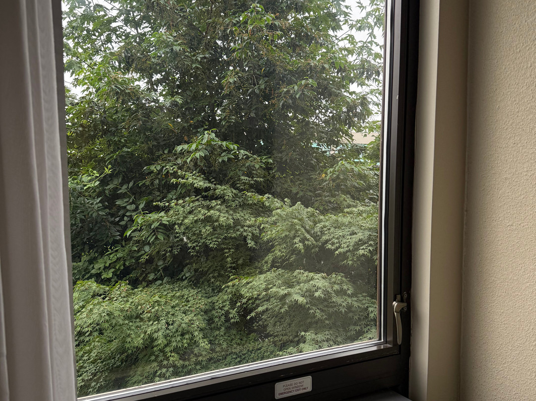 西雅图机场汉普顿酒店主图