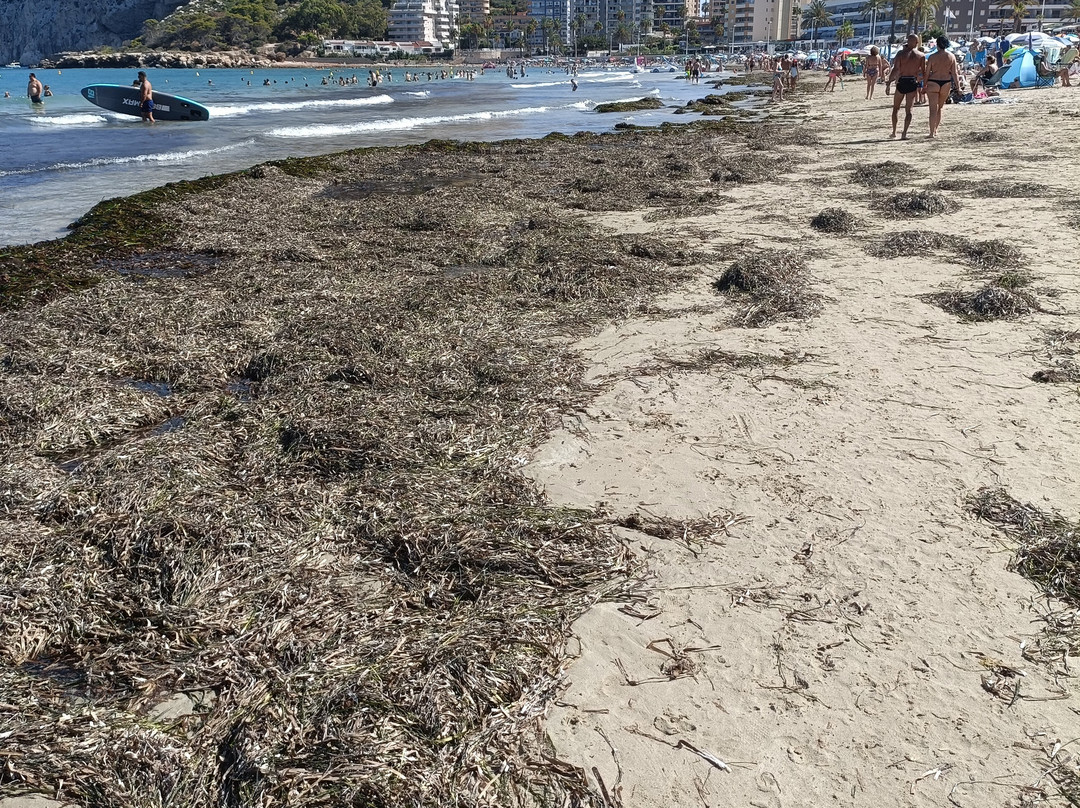 Playa de Levante o la Fossa-卡尔佩必去景点