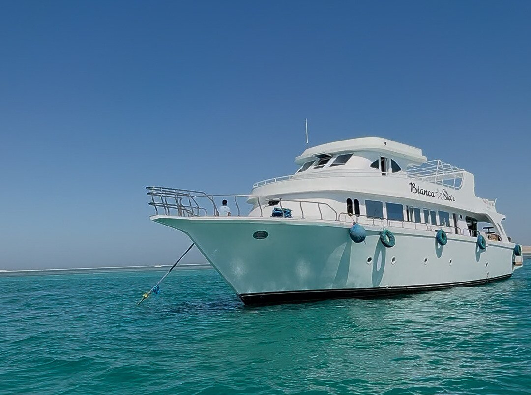 Red Sea Horse Diving