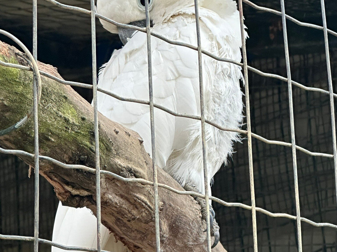 Zoologico El Bosque-奥维耶多必去景点