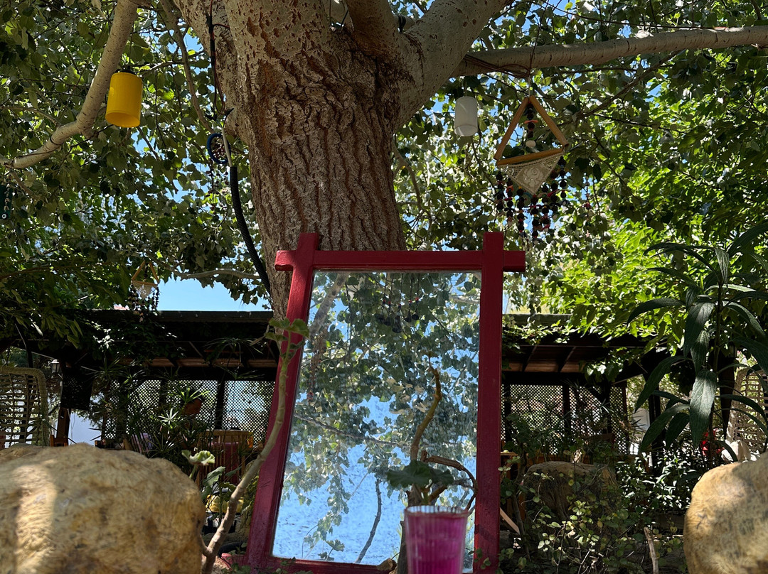 Ay Yıldız Butik Otel主图