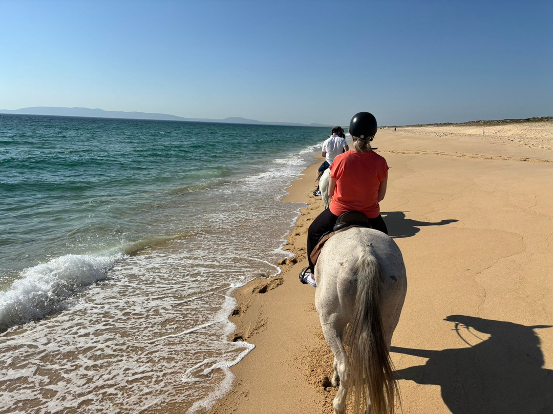 Cavalos na Areia-Comporta必去景点