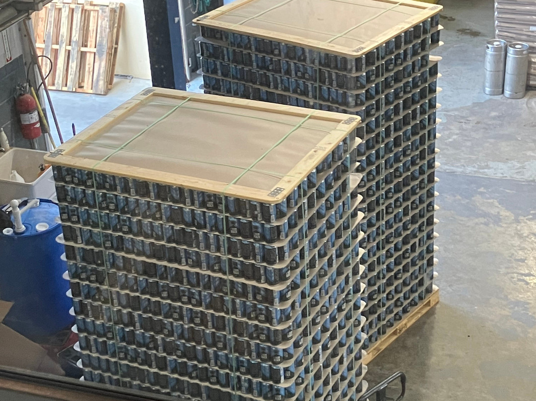 Turk's Head Brewery-普罗维登西亚莱斯必去景点