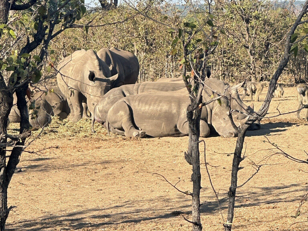Mosi-oa-Tunya National Park-李文斯顿必去景点