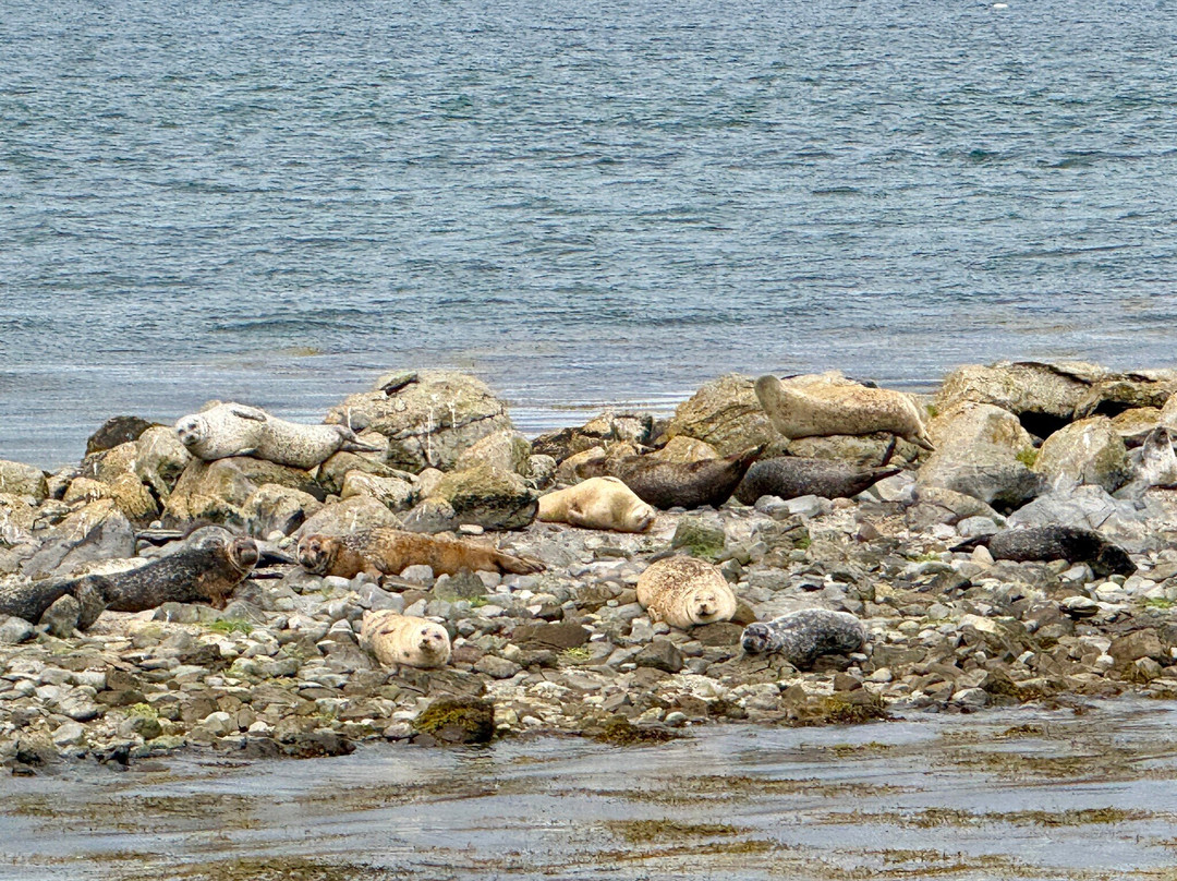 Clewbay Cruises-韦斯特波特必去景点
