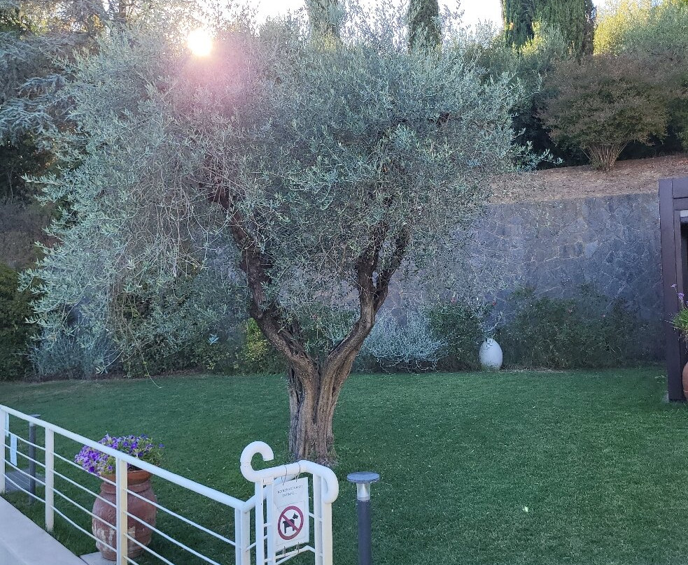 翁布里亚酒店主图