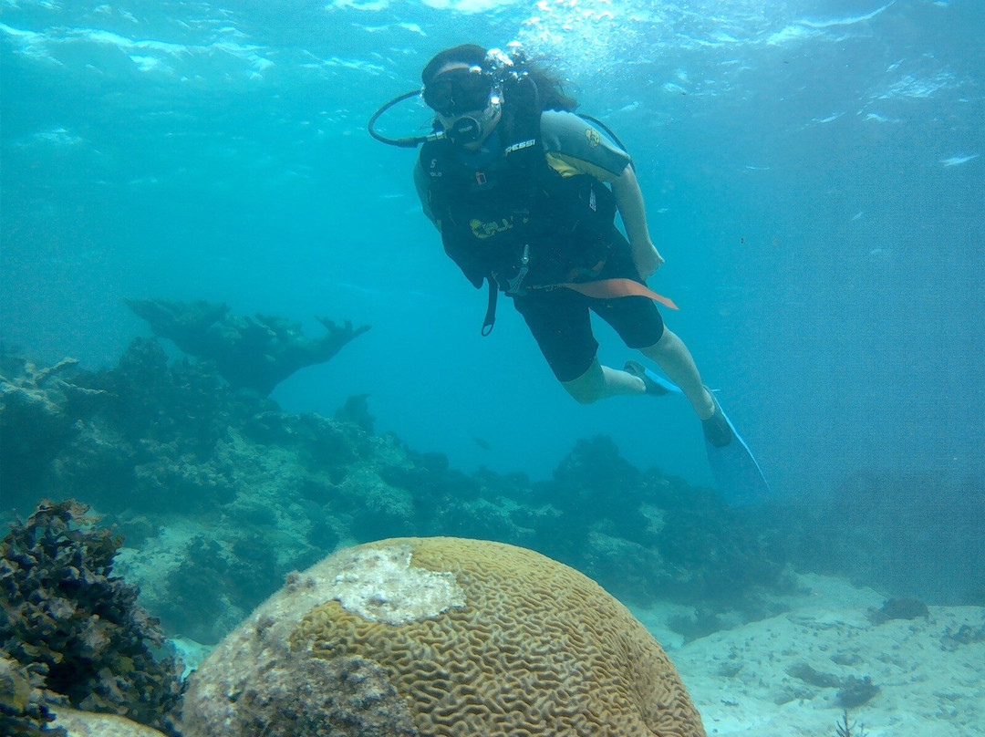 UnderwaterCuba-巴拉德罗必去景点