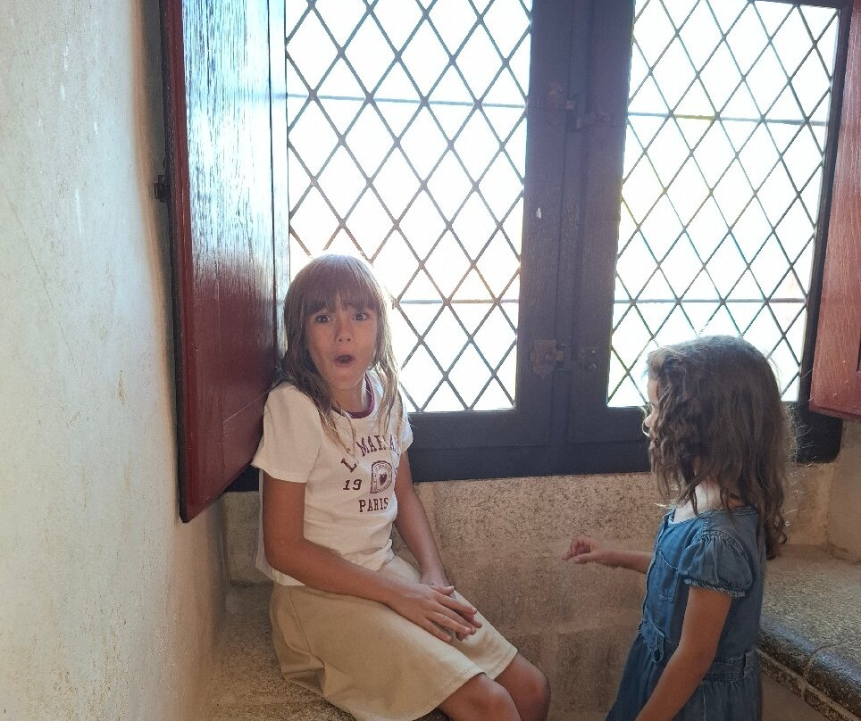 Château Royal de Collioure-科利乌尔必去景点