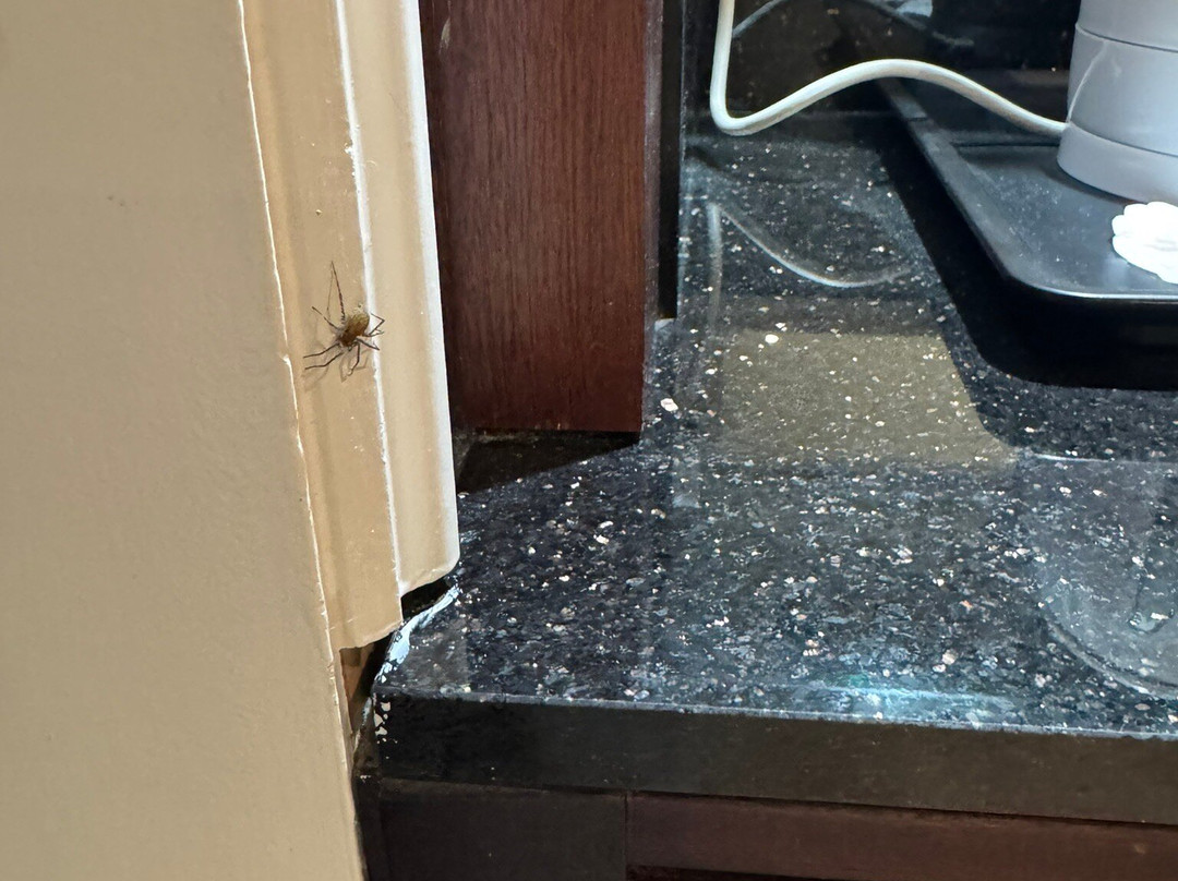 St. Pierre Golf & Country Club-切普斯托必去景点