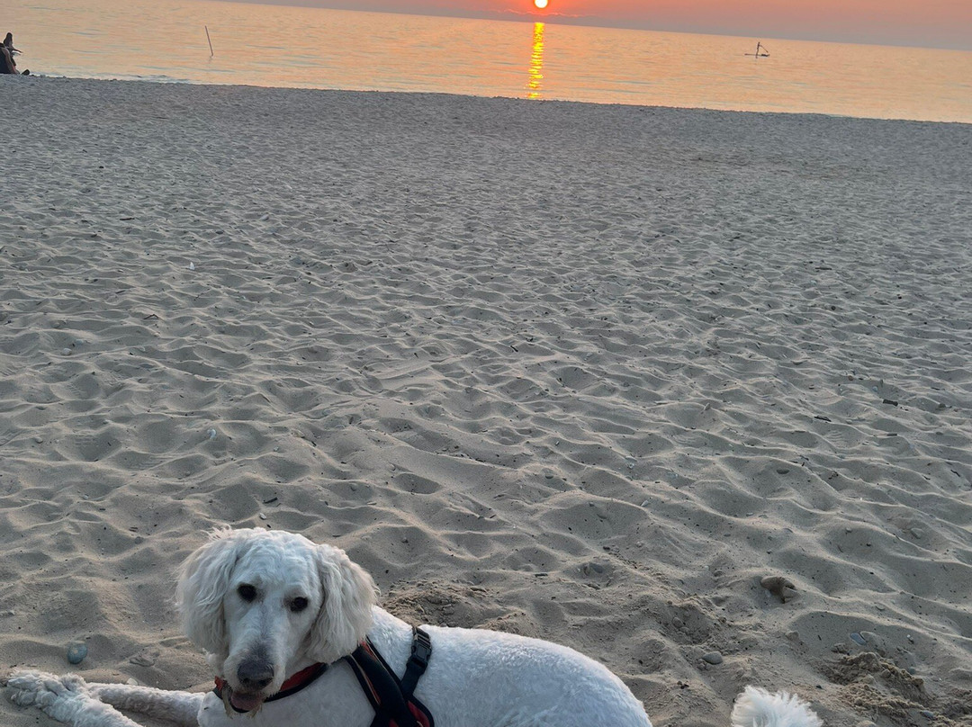 Torch Lake-Alden必去景点
