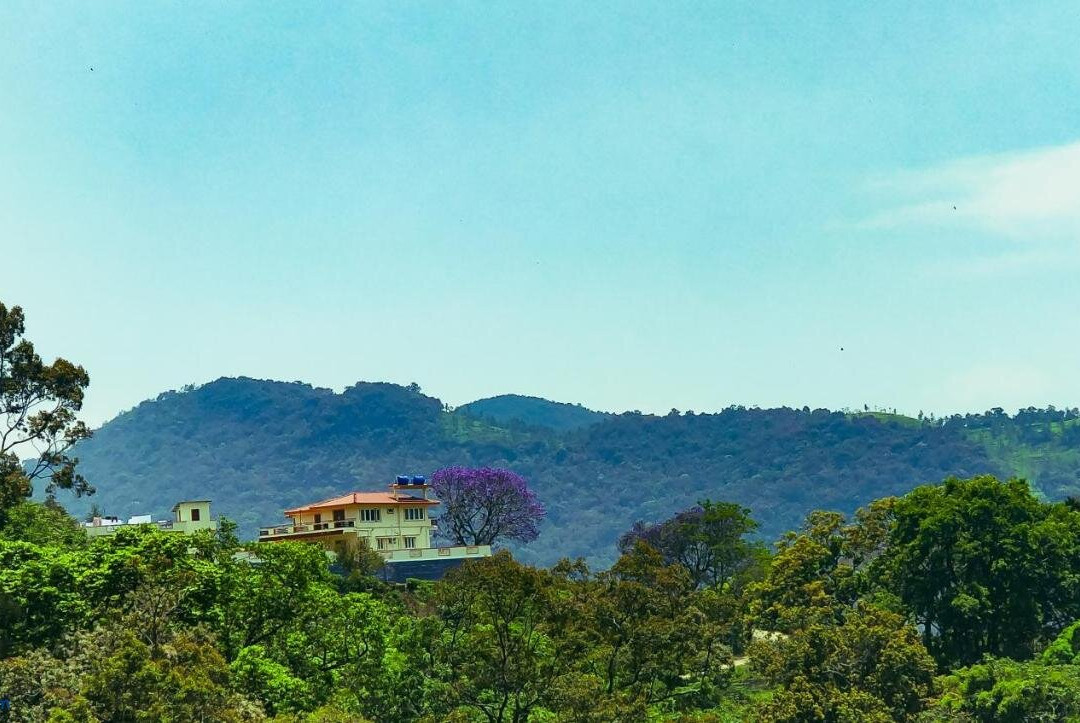 Hidden Heaven Homestay