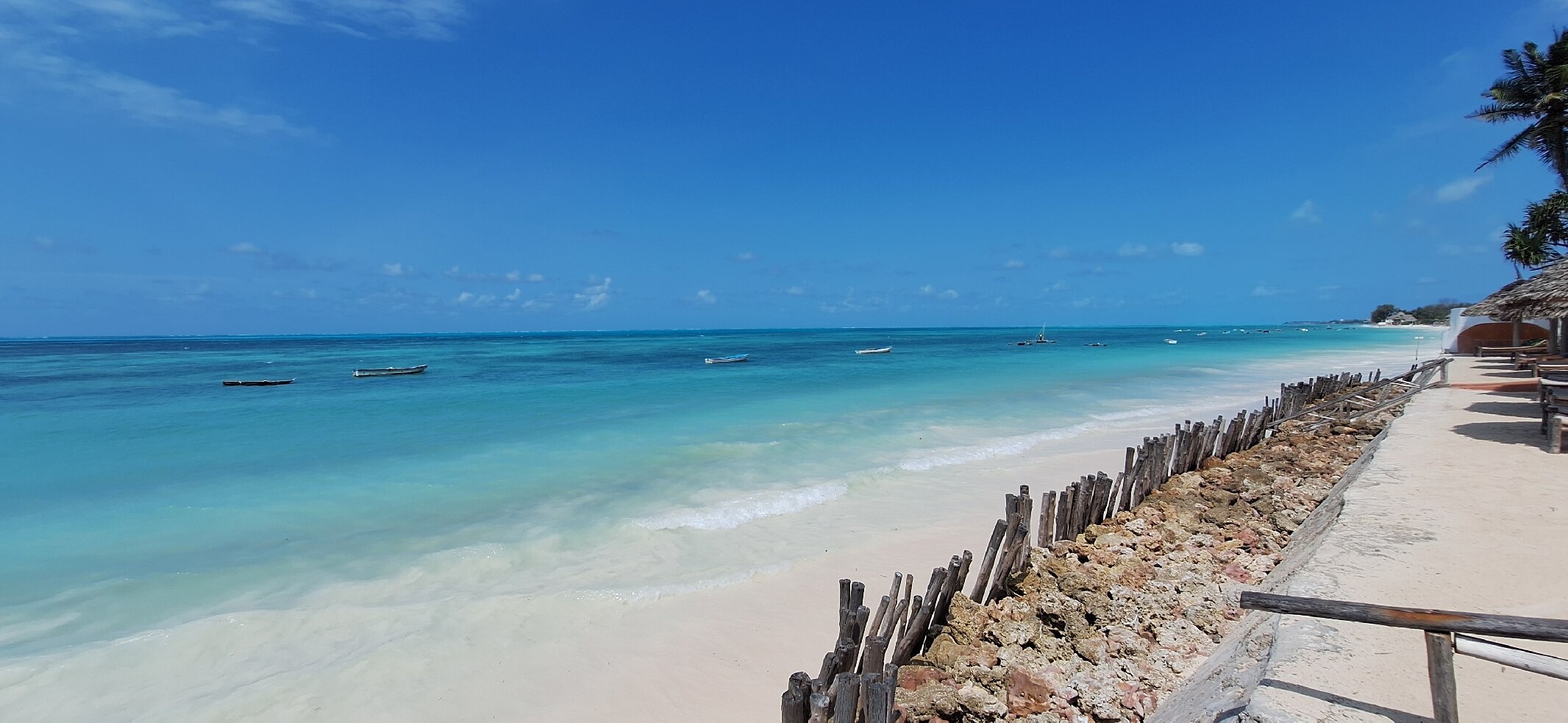 蓝牡蛎酒店-官方