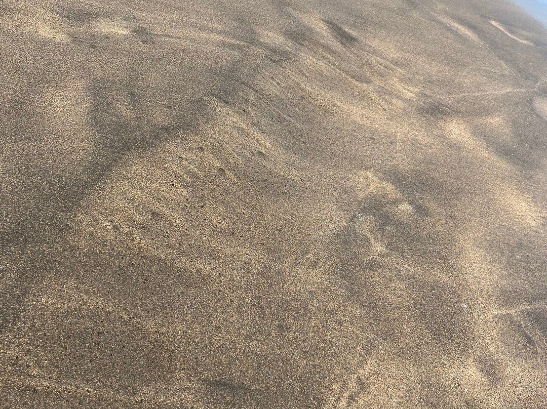 Vitória Beach-Praia da Vitória必去景点