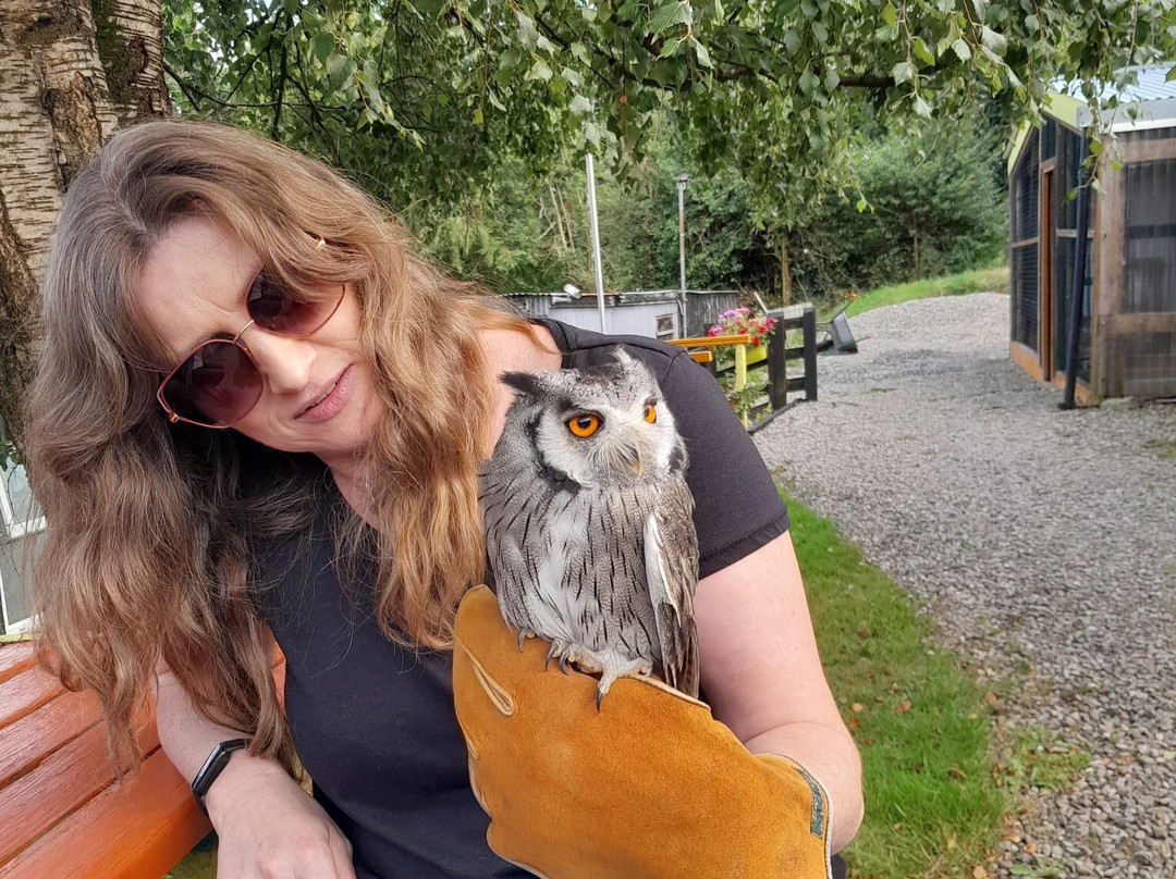 Falconry Ireland-Arklow必去景点