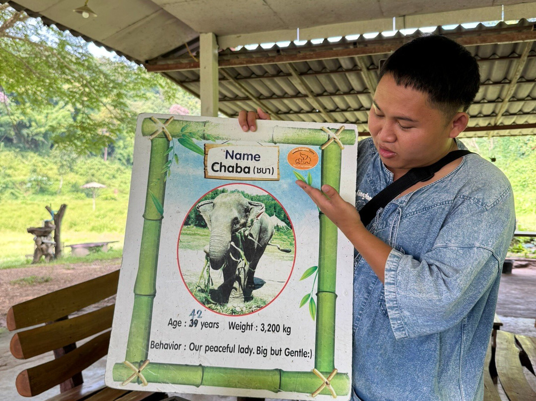 Lanna Kingdom Elephant Sanctuary-清迈必去景点