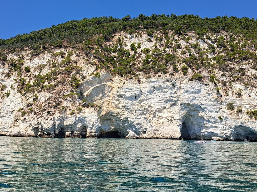 Caicco Eco Freedom-维耶斯泰必去景点