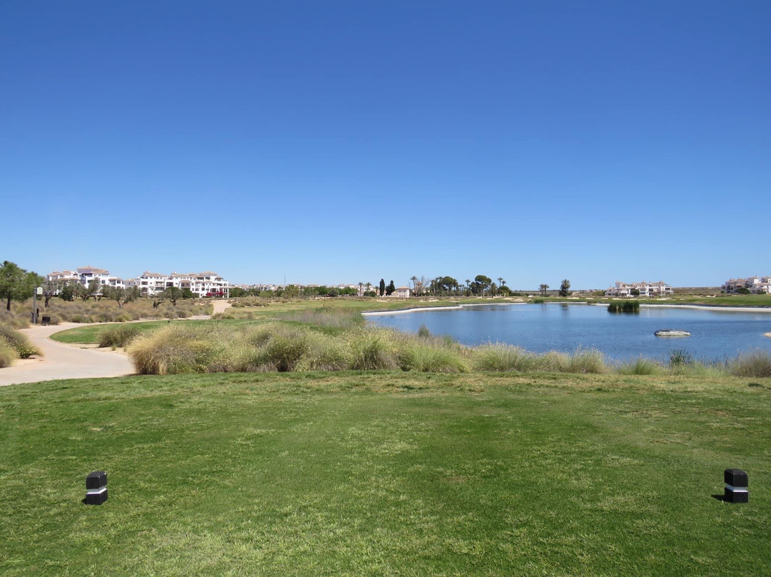 Hacienda Riquelme Golf Resort主图