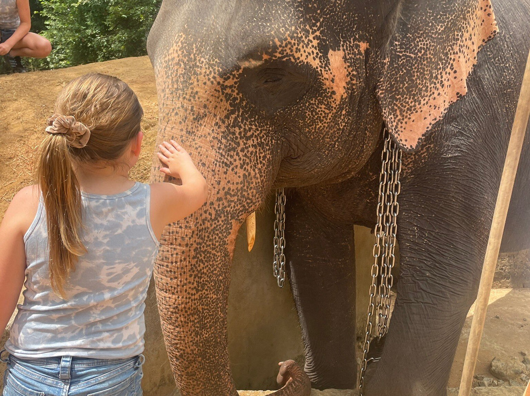 Elephant Bathing at Habarana-哈巴拉娜必去景点