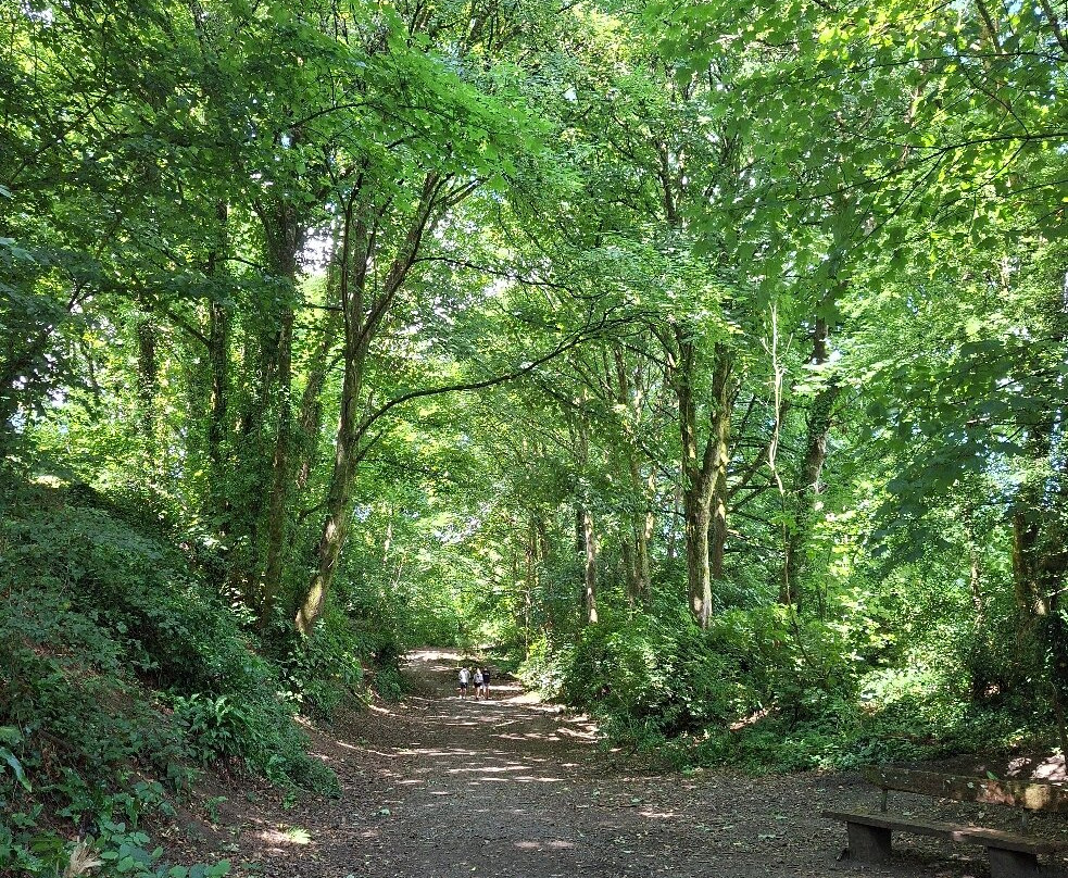 Ashburton Court Guest House主图