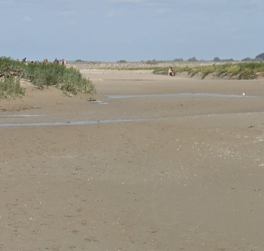 Rando-Nature en Somme-Saint-Valery-sur-Somme必去景点