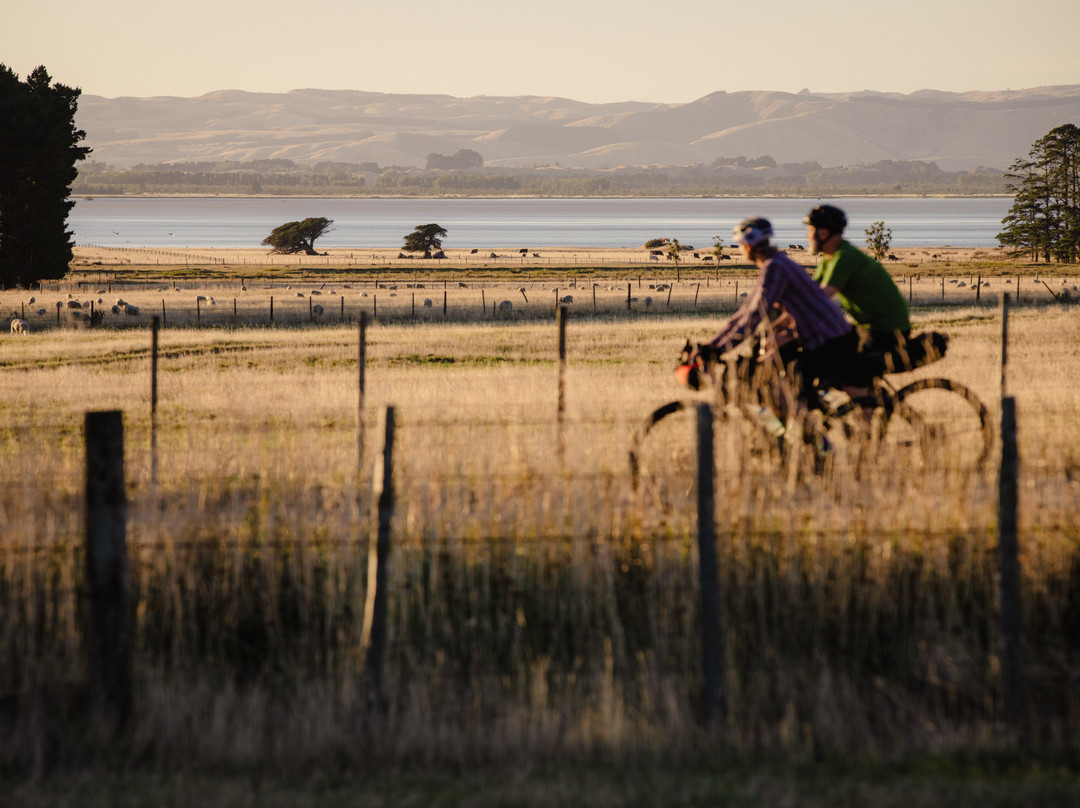 Cycle Remutaka-下赫特必去景点