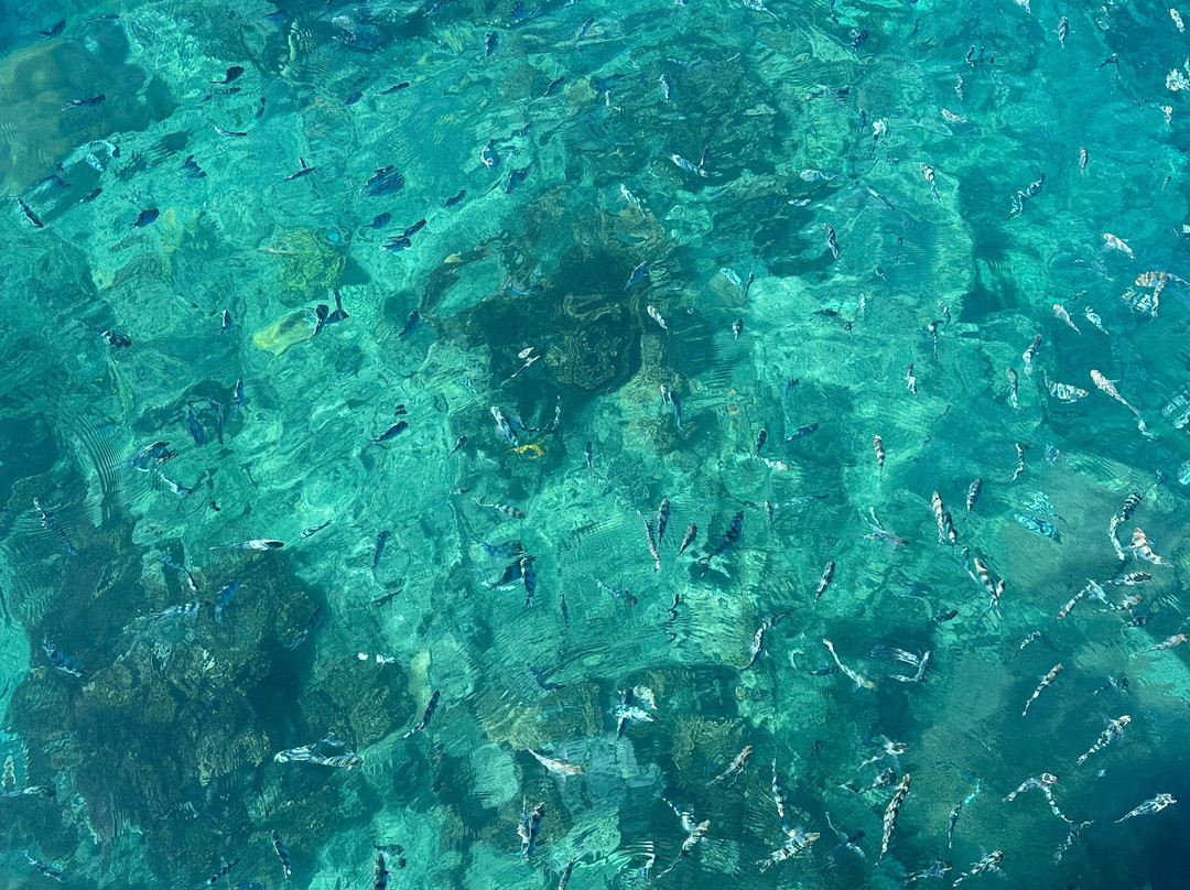 Kai Wai Ocean Sports-纳迪市必去景点