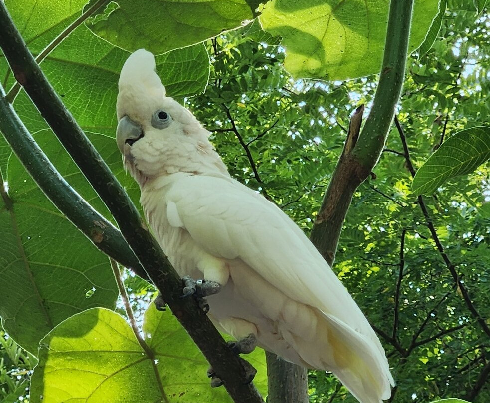 Le Parc des Perroquets-Bren必去景点