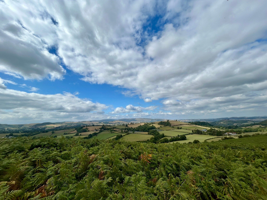 Offa's Dyke Lodge B&B主图