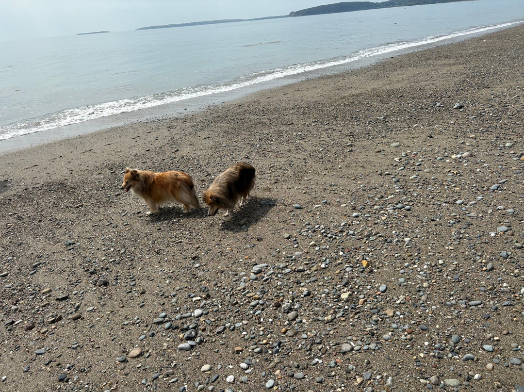 Pwllheli Beach-Pwllheli必去景点