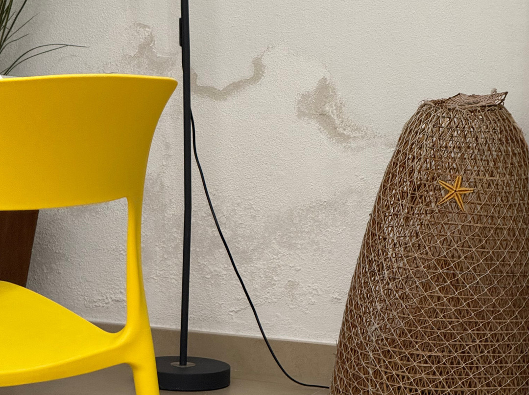 Il Cortile Fiorito srl主图