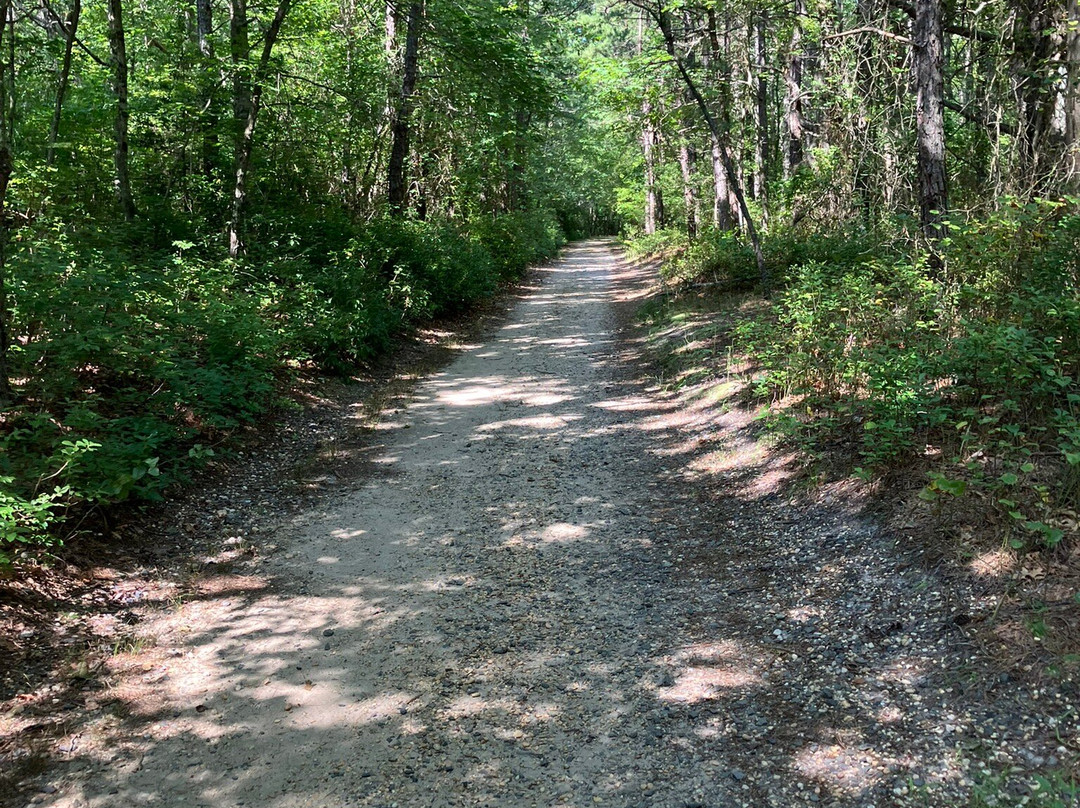 Shark River Park-Wall Township必去景点