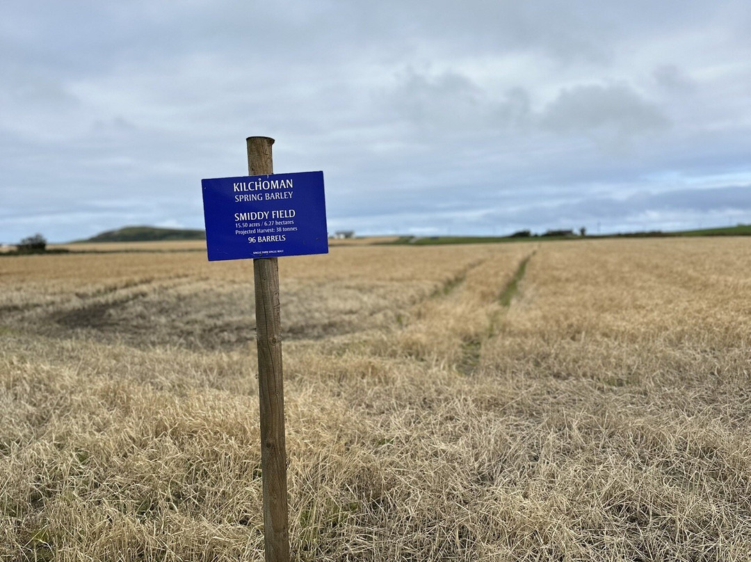 Kilchoman Distillery-Bruichladdich必去景点