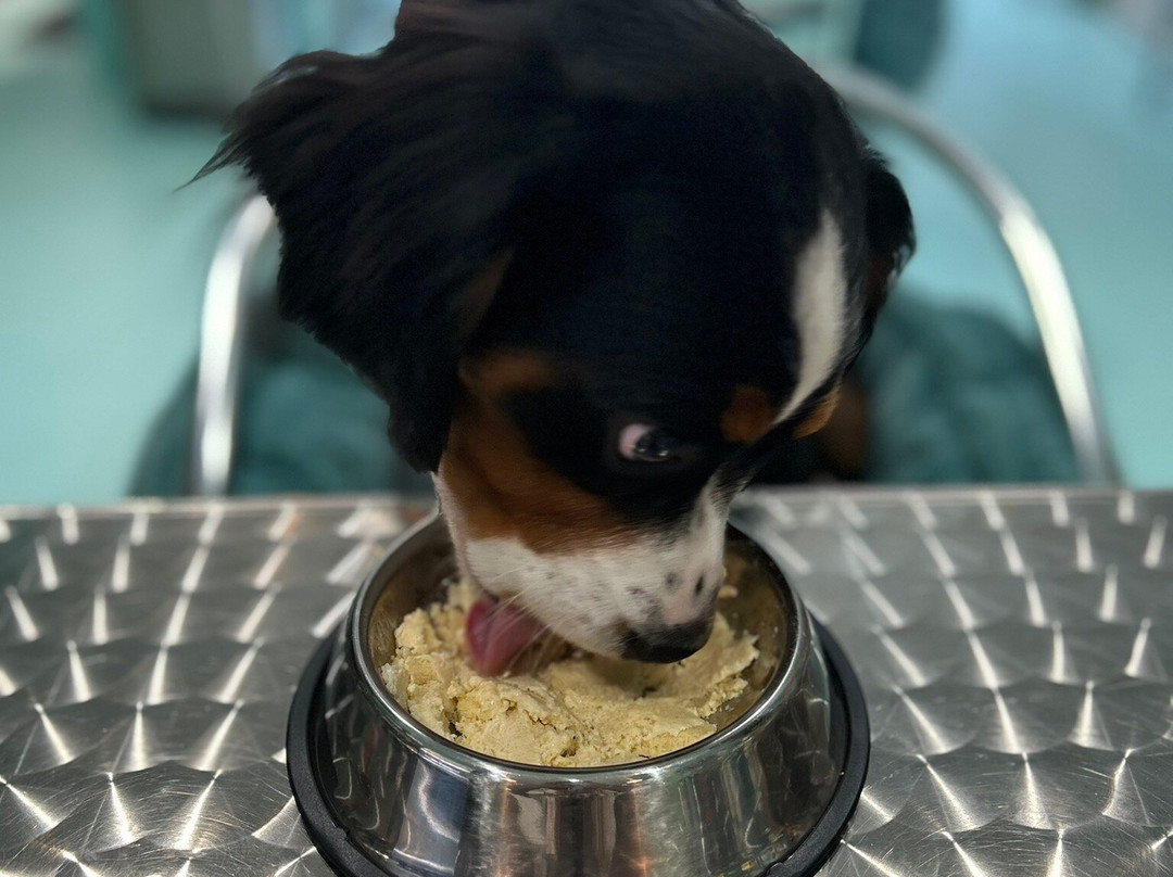 Salty Paws-里霍博斯比奇必去景点