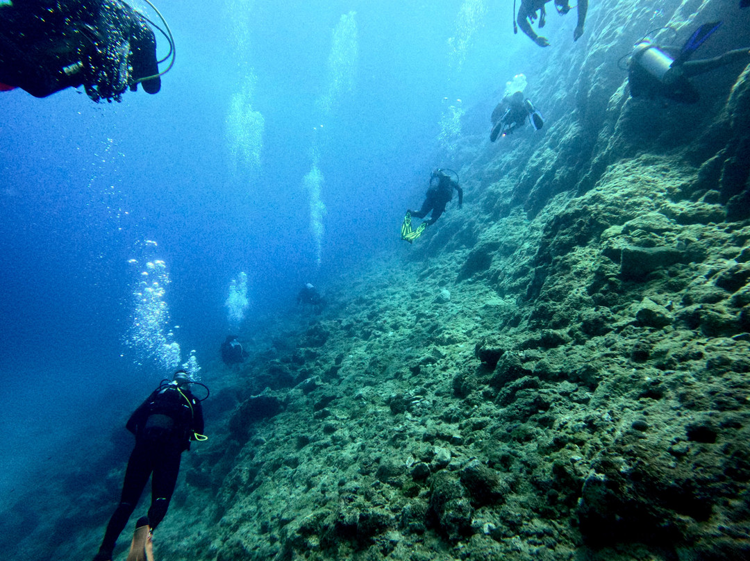 Diving Center Turtle Beach-扎金索斯必去景点