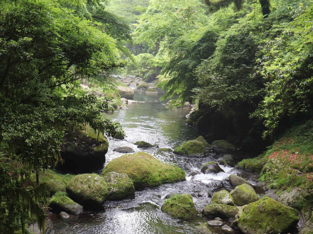 Kikuchi Gorge-菊池市必去景点