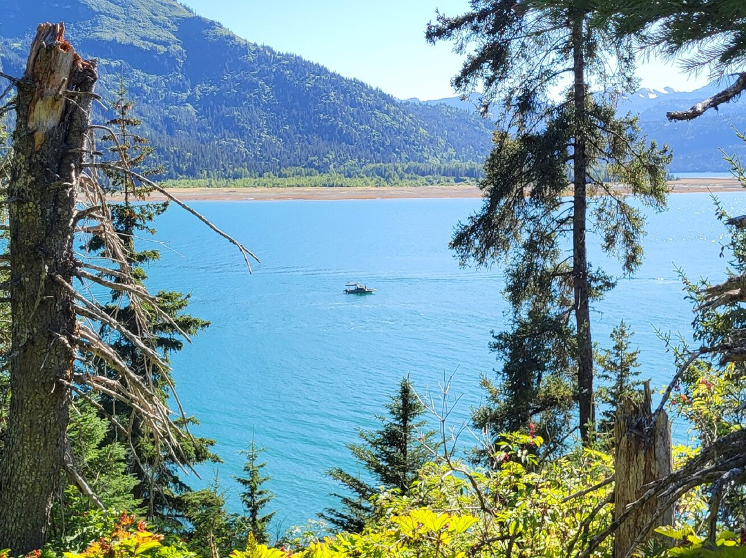 49North Alaskan Adventures-荷马必去景点