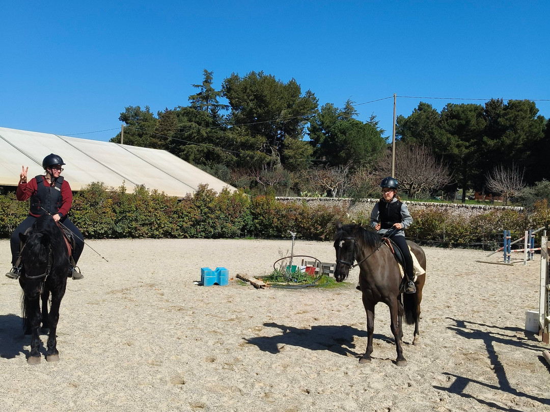Majestic Horse Club Ride&dine-马丁纳弗兰卡必去景点