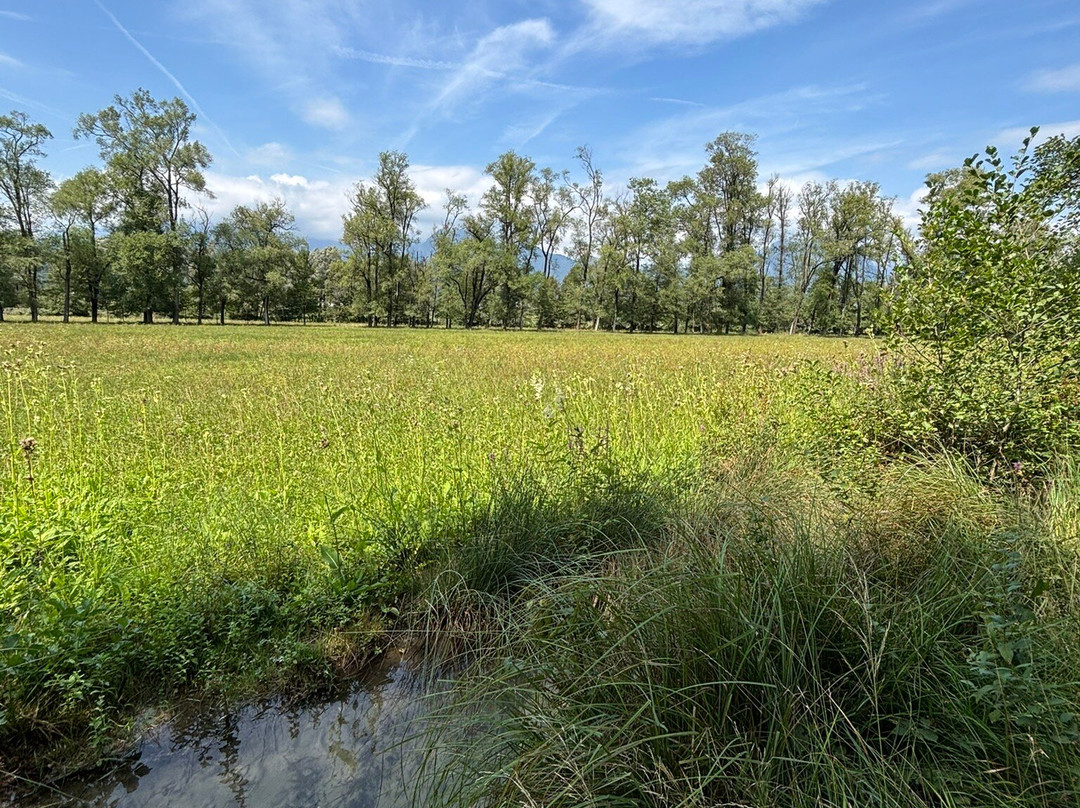 Riserva Naturale Vincheto di Celarda-Celarda必去景点
